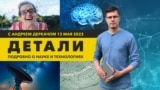 Исследование предсмертной активности мозга и сверхподробная карта Марса | «Детали»