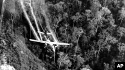 Распыление «Agent Orange» над джунглями Южного Вьетнама. Май 1966 года. Архивное фото.