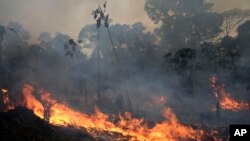 Пожар в национальном парке Жакунда недалеко от Порту-Велью, Бразилия (26 августа)