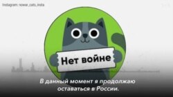  «Пока автозаков для котиков нет». Антивоенная кампания нового времени 