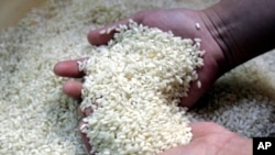 Myanmar Rice