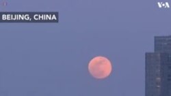 ကမ္ဘာတစ်ဝှမ်းက Super Blue Blood Moon