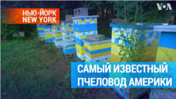 Украинские пасеки в Америке 