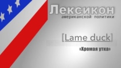 Хромая утка (Lame duck)