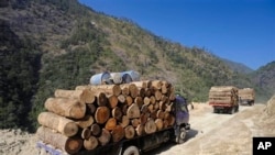 China Myanmar Logging