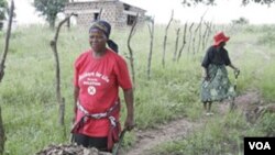 Rekòmandasyon Kowòdinasyon Nasyonal Sekirite Alimantè Pou Evite Yon Kriz Grangou ann Ayiti