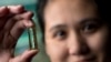 Nanowire-based battery technology that allows lithium ion batteries to be recharged hundreds of thousands of times. (Mya Le Thai)