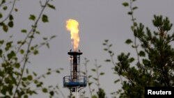 Нефтеперерабатывающий завод в Мозыре на южной ветке нефтепровода «Дружба», Беларусь, 11 сентября 2013 года