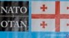 Командиры НАТО посетили Грузию