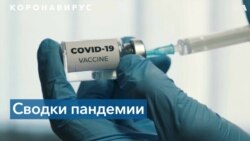 Закон Архимеда на примере обязательной вакцинации