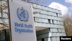 FILE PHOTO: A logo is pictured outside a building of the WHO in Geneva