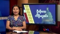 ကြောင်တွေစီးတဲ့လော်ကယ်ရထား၊ အင်္ဂလန်က ဝက်အူချောင်းပစ်ပြိုင်ပွဲ