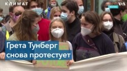 «Пятницы во имя будущего»: молодые экоактивисты по всему миру вышли на акции протеста