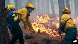 Black Forest к северу от Колорадо-Спрингс. J12 июня 2013г.